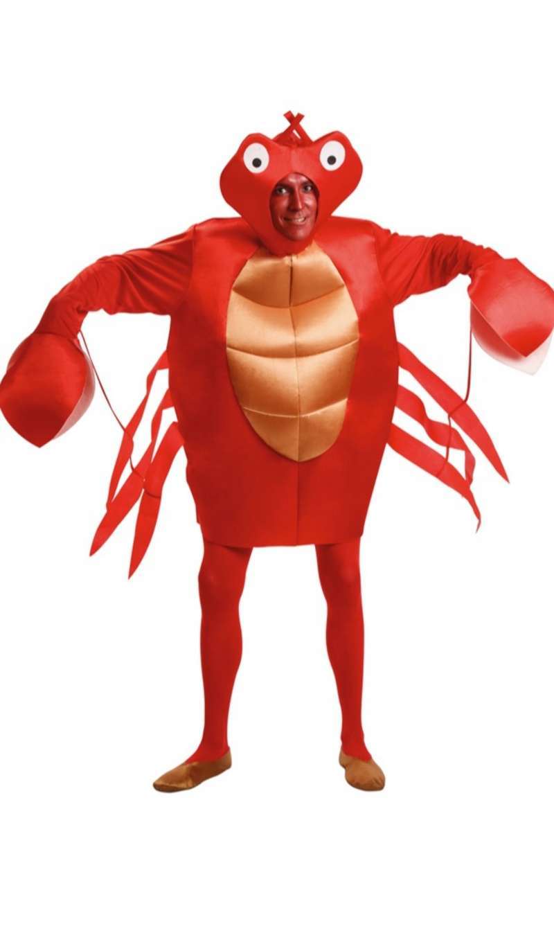 Disfraz de cangrejo - rojo - Kiabi - 32.00€