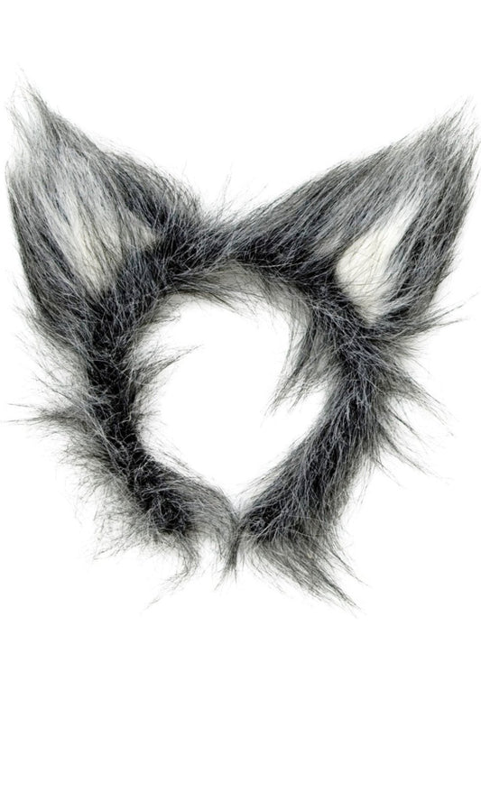 Diadema de Lobo Gris